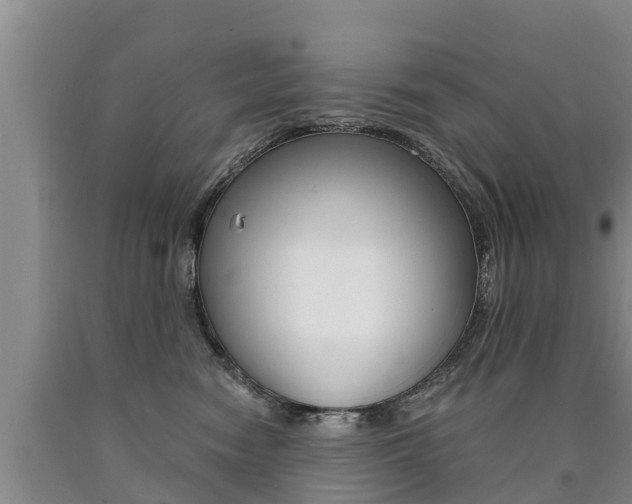 X0000090780474200707201138
