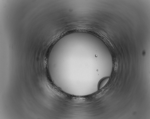 X0000090780476200707201138