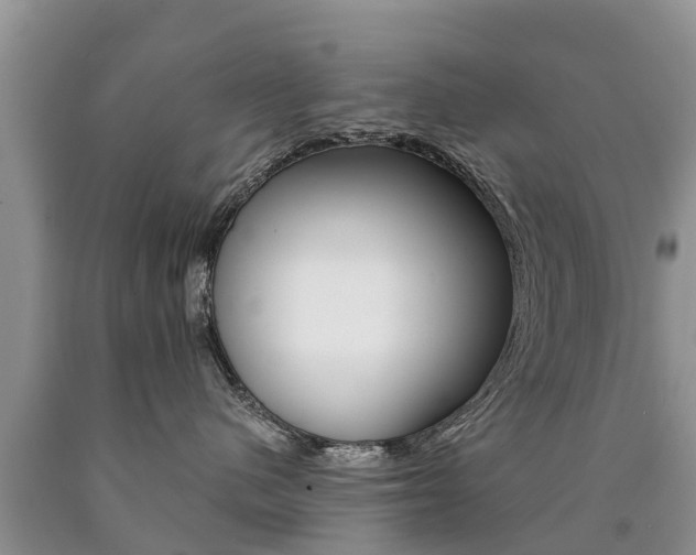 X0000090780480200707201138