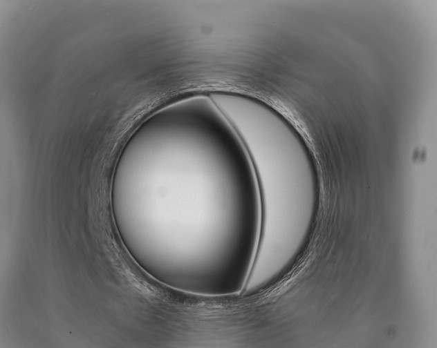 X0000090780481200707201138