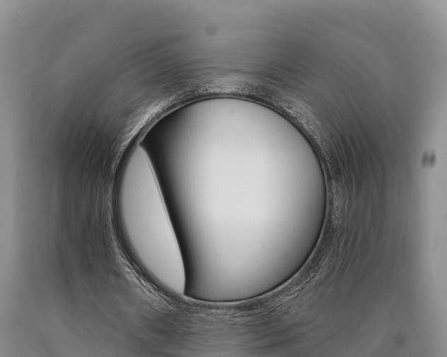 X0000090780482200707201138