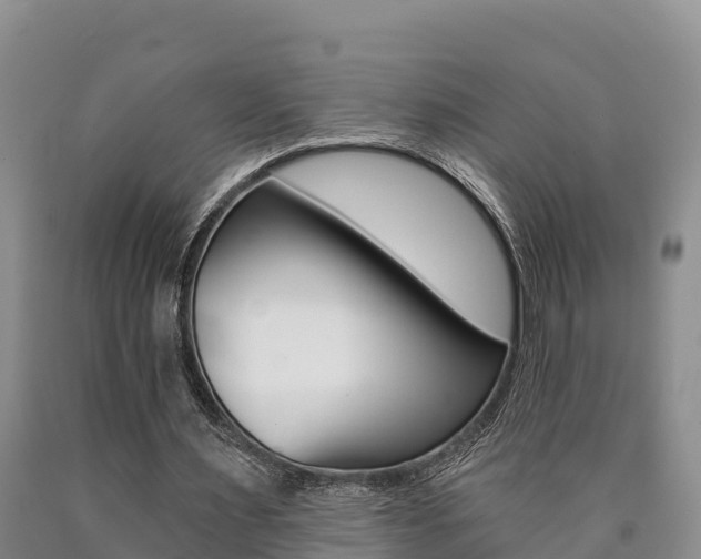 X0000090780483200707201138