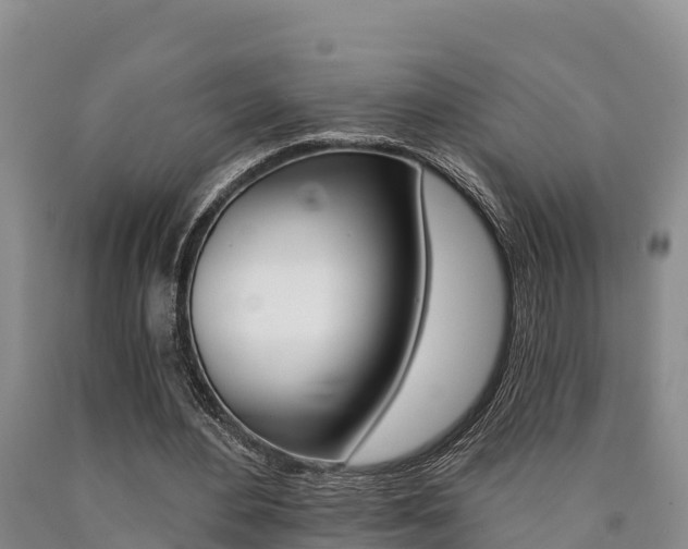 X0000090780484200707201138