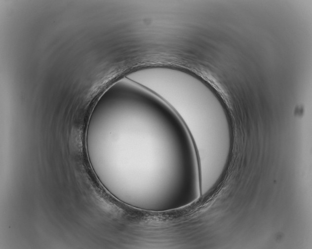 X0000090780489200707201138