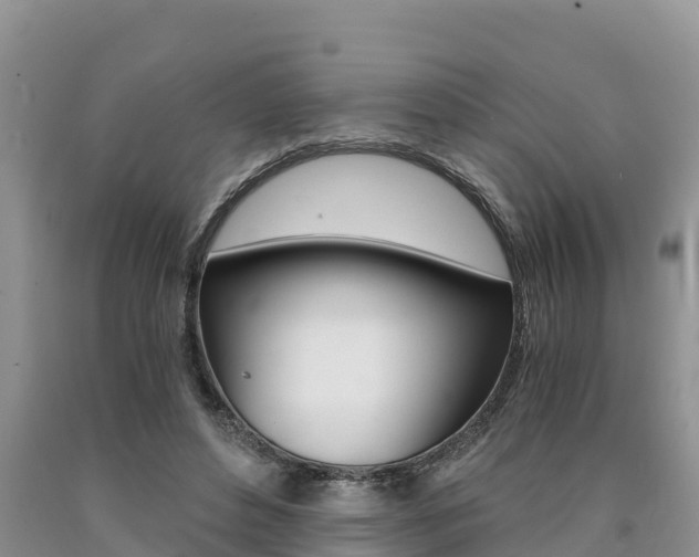 X0000090780496200707201137