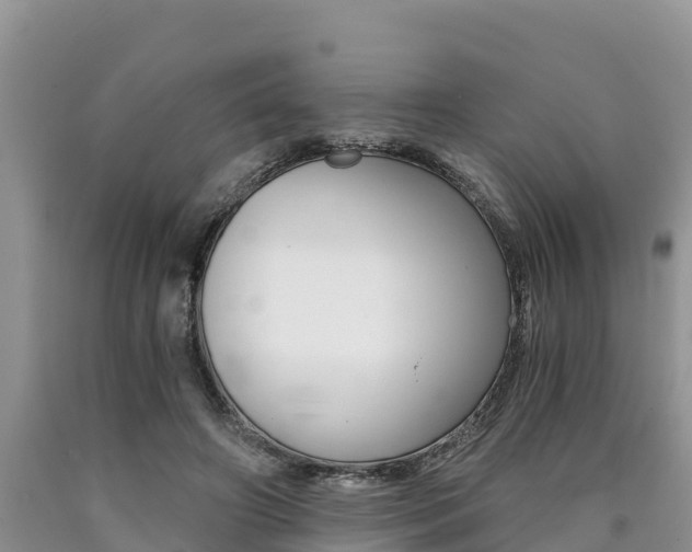 X0000090780498200707201137
