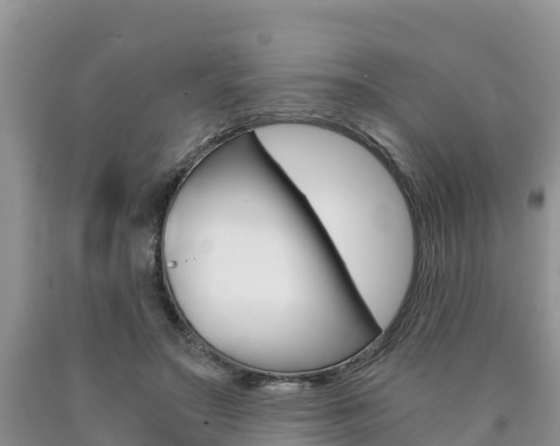 X0000090780499200707201137