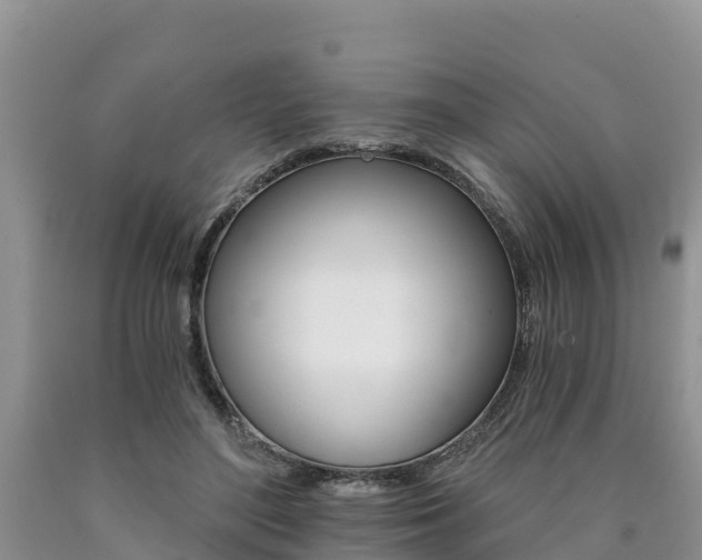 X0000090780500200707201137