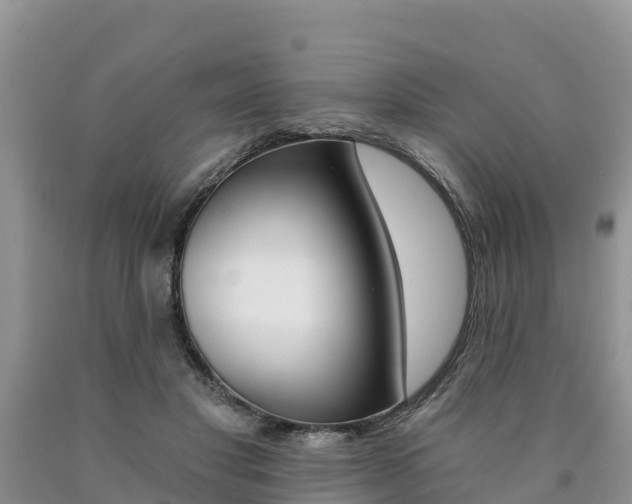 X0000090780501200707201137