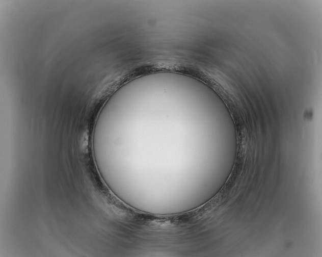 X0000090780502200707201137