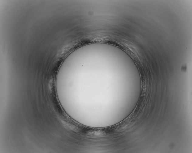 X0000090780503200707201137