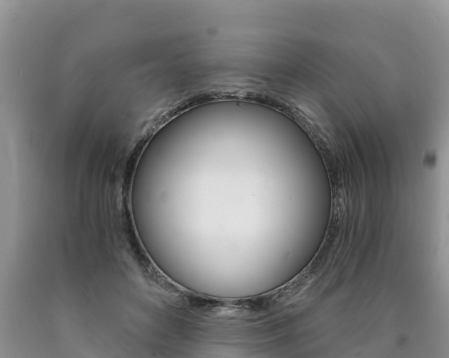 X0000090780504200707201137