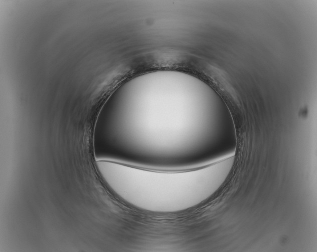 X0000090780505200707201137