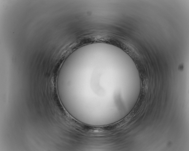 X0000090780506200707201137