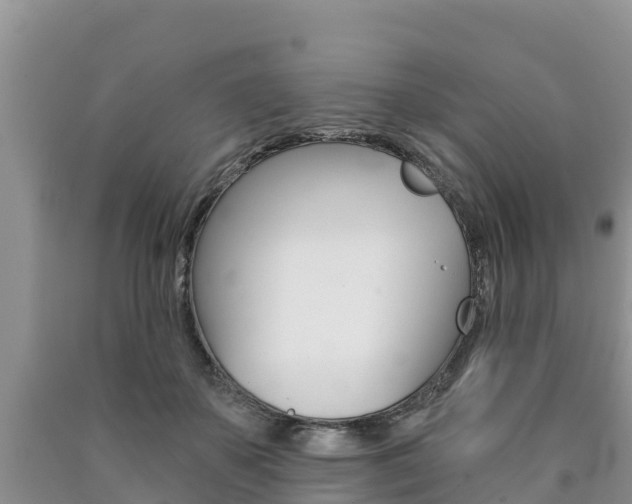 X0000090780507200707201137