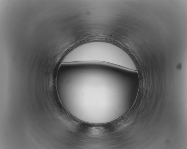 X0000090780508200707201137