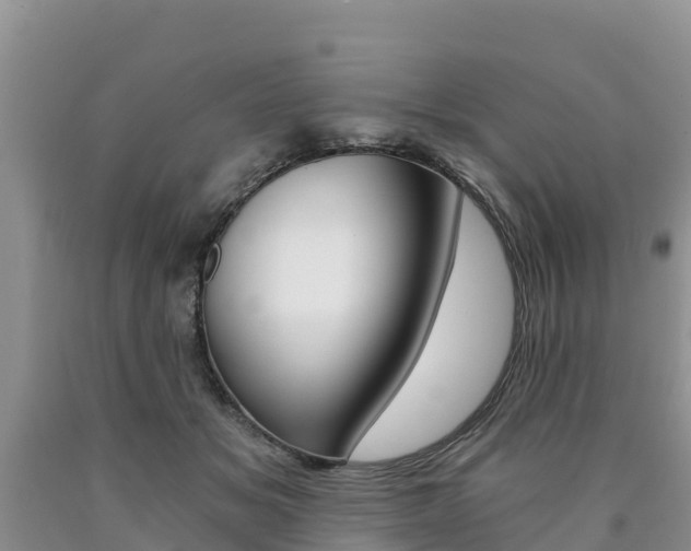 X0000090780509200707201137