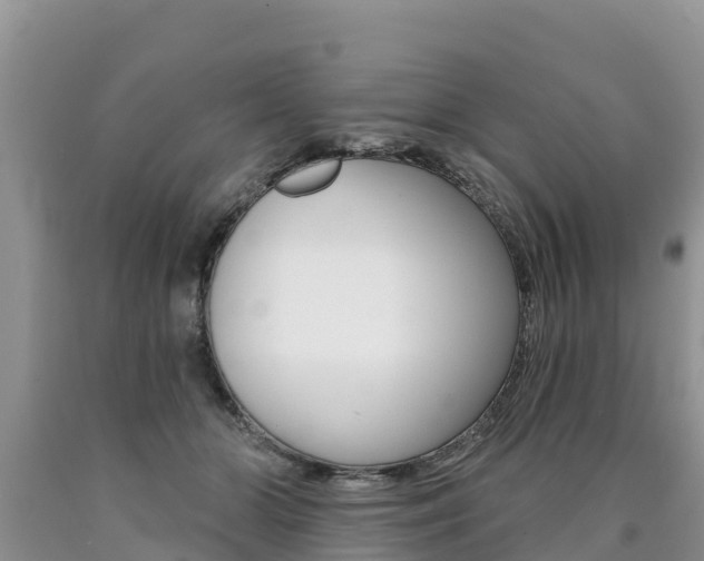 X0000090780510200707201137