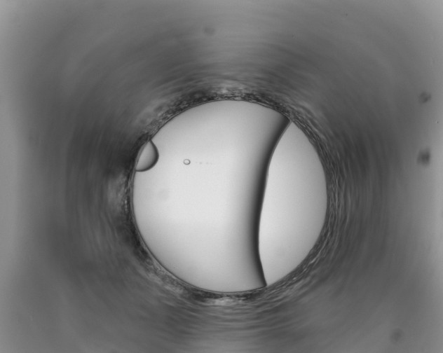 X0000090780511200707201137