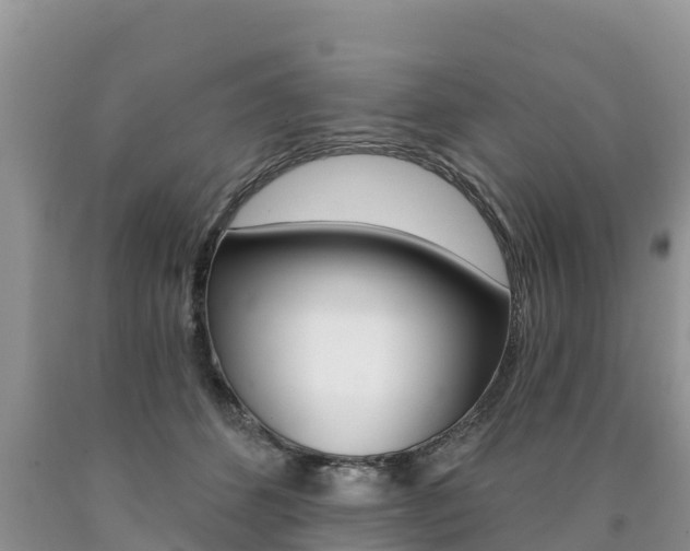 X0000090780512200707201137