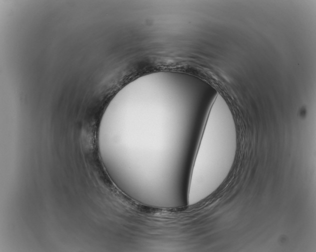 X0000090780515200707201137