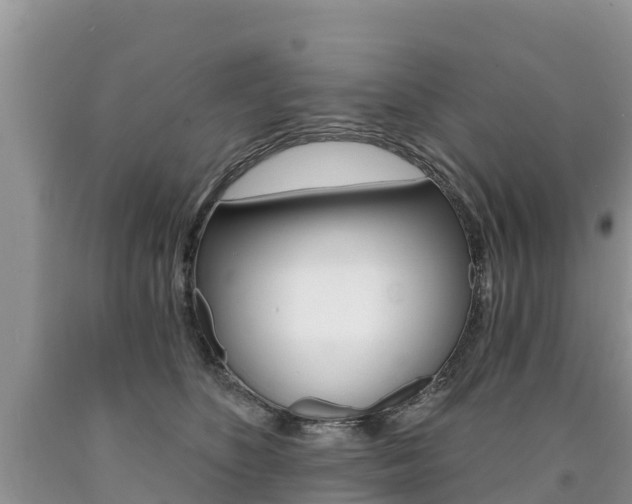 X0000090780516200707201137