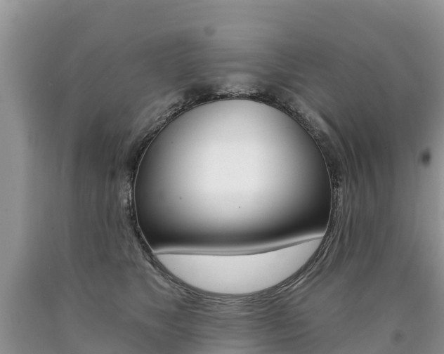 X0000090780517200707201137