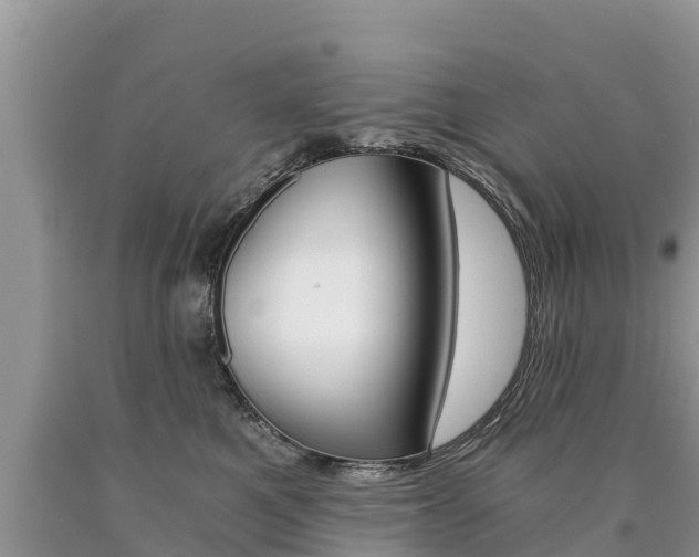 X0000090780521200707201137