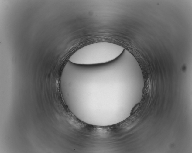X0000090780522200707201137