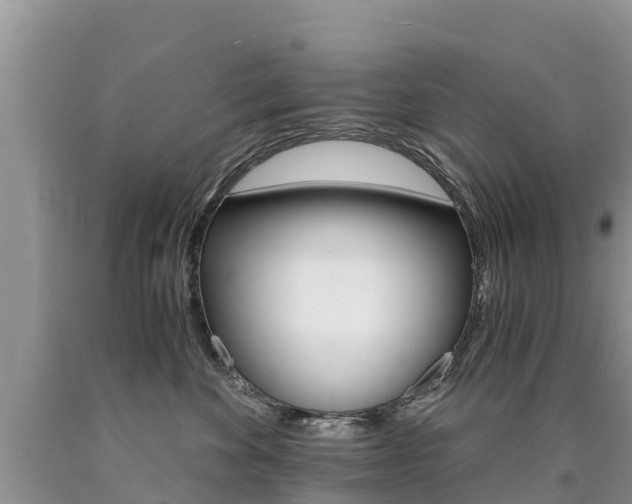 X0000090780524200707201137