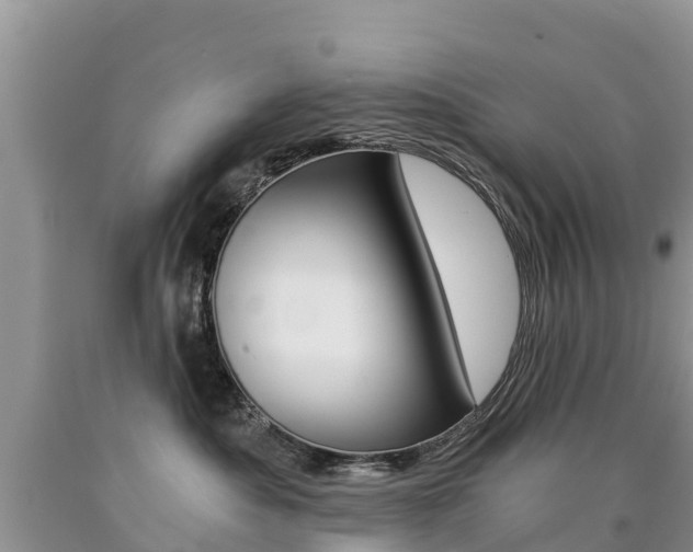 X0000090780525200707201137