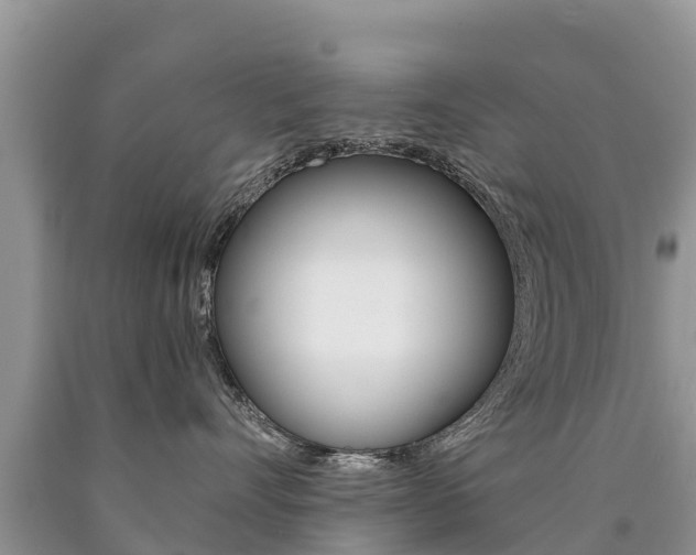 X0000090780528200707201137