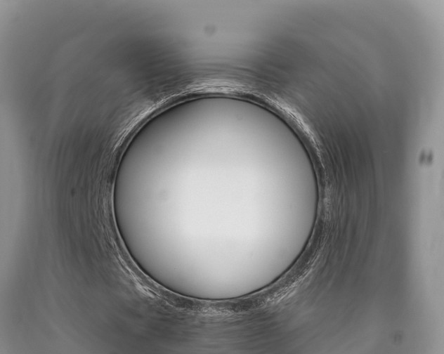 X0000090780529200707201136