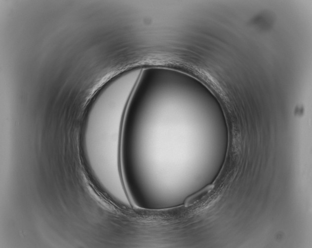 X0000090780530200707201136