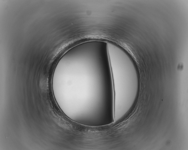 X0000090780531200707201136