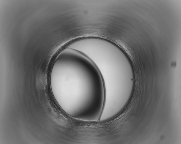 X0000090780532200707201136