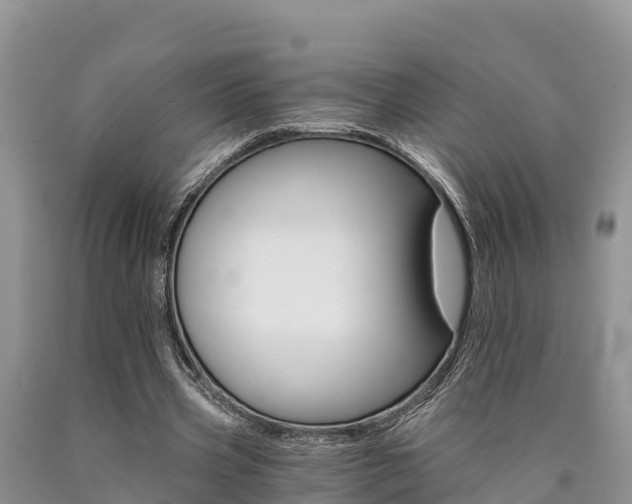 X0000090780533200707201136