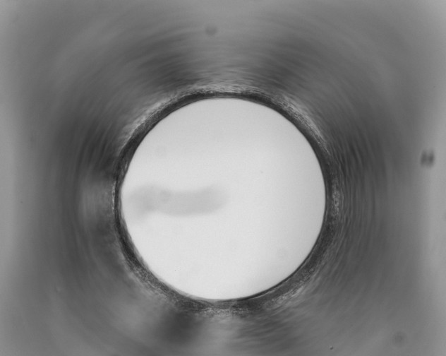 X0000090780534200707201136