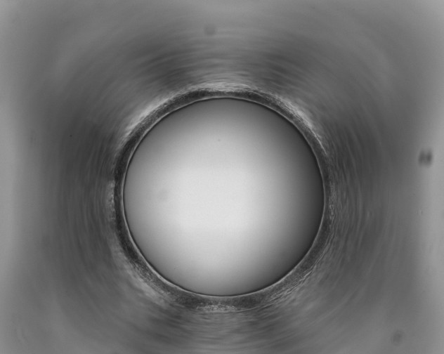 X0000090780535200707201136