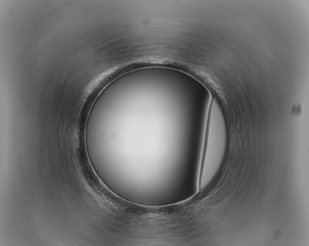 X0000090780536200707201137