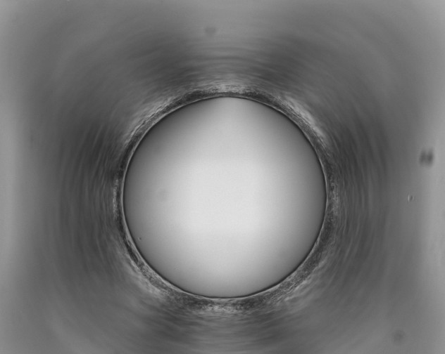 X0000090780537200707201137
