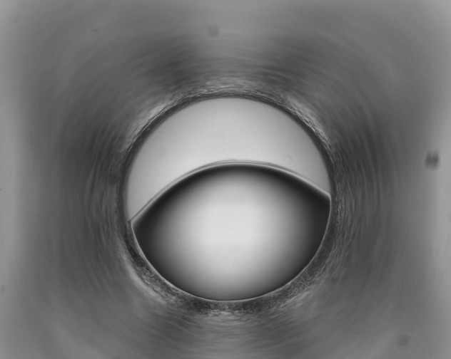 X0000090780538200707201137
