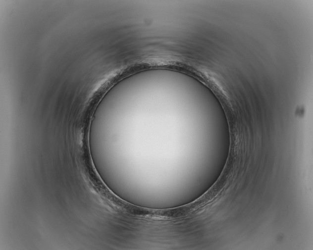 X0000090780539200707201137