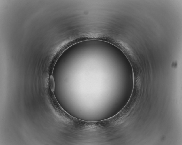 X0000090780540200707201137