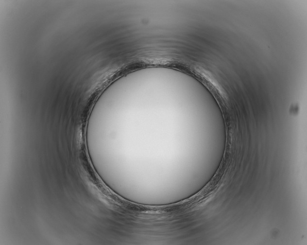 X0000090780541200707201137