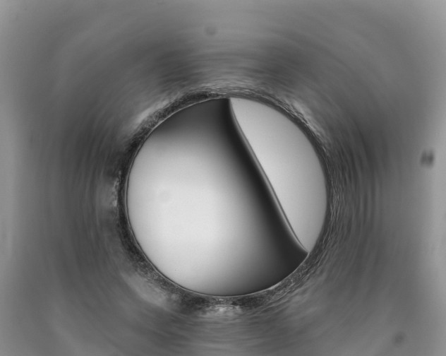 X0000090780543200707201137