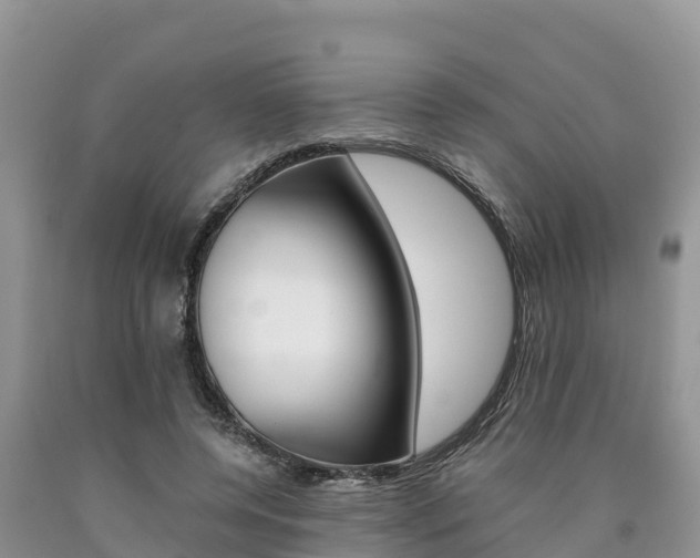 X0000090780544200707201137