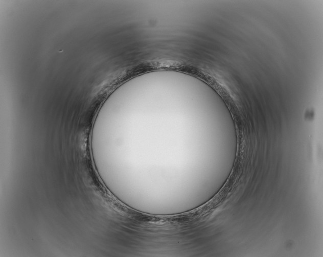 X0000090780545200707201137