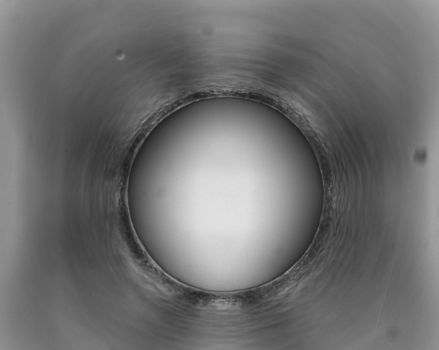 X0000090780546200707201137