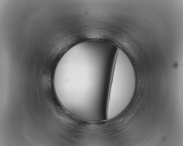 X0000090780547200707201137